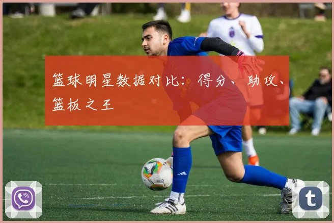 篮球明星数据对比：得分、助攻、篮板之王
